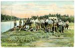 River Drivers, West Branch of Penobscot, Me. Postcard
