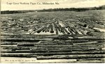Millinocket, Maine, Great Northern Paper Company Logs