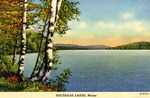 Belgrade Lakes, Maine, Postcard