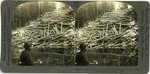Logging in Northern Maine Stereoscopic View