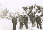 Men Standing in Front of Logs