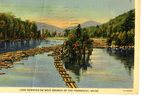 Penobscot River Logs Postcard
