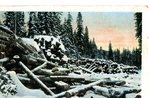 Lumbering in the Maine Woods Postcard