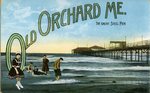Old Orchard Great Steel Pier Postcard
