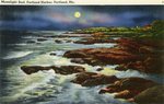 Portland Harbor Moonlight Surf Postcard