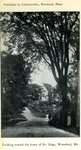 Waterford, Maine, Postcard, Looking Toward Dr. Gage Home