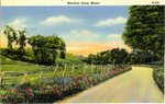 Meadow Road Postcard
