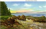 Rock Bound Coast of Maine Postcard