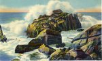 Rocky Coast and Pounding Waves Postcard