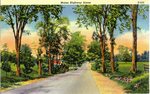 Maine Highway Scene    Postcard
