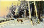 Winter Time in Maine    Postcard