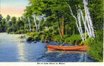 Maine Lake Shore Postcard