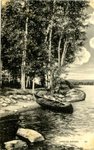 Lakeside Birches Postcard