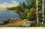 Bit of Lakeshore In Maine Postcard