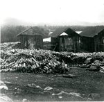 Katahdin Iron Works, Coal Kilns