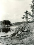 Roque Island, Maine, Shoreline