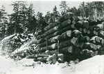 Log Harvest in Northern Maine