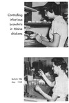 B584: Controlling Infectious Bronchitis in Maine Chickens by Harold L. Chute, David C. O'Meara, and J. Franklin Witter