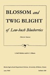 B529: Blossom and Twig Blight of Low-bush Blueberries (Botrytis cinerea) by E. Neil Pelletier and M. T. Hilborn