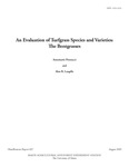 MR437: An Evaluation of Turfgrass Species and Varieties: The bentgrasses by Annamarie Pennucci and Alan R. Langille