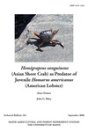 TB194: Hemisgrapsus sanguineus (Asian Shore Crab) as Predator of Juvenile Homarus americanus (American Lobster) by Anna Demeo and John G. Riley