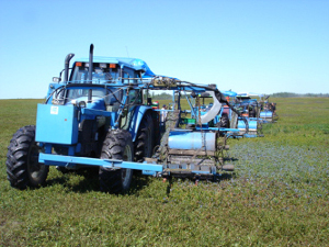 blueberry harvester extension blueberries wild tour bragg berries used maine cooperative umaine edu