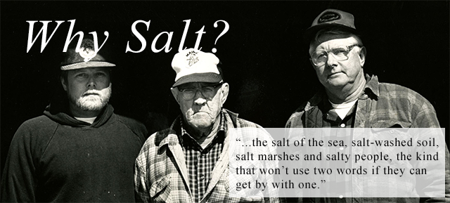 Salt Magazine Archive