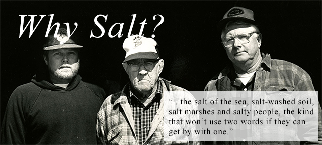 Salt Magazine Archive, Special Collections