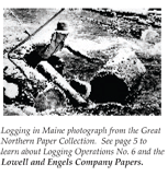Logging in Maine Photo