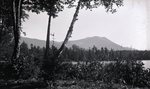Untitled: Woods, Lake, Mountain by Bert Call