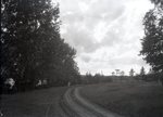 Elkinstown Road and Field by Bert Call