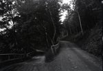 Forks of Road near Bingham by Bert Call