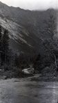 Untitled (Wooded Trail Near Base of Mountain) by Bert Call