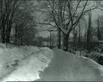 Snow Scene, Trees, Tel. Poles March 4, 1926 by Bert Call