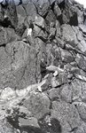 Climbing Katahdin by Bert Call
