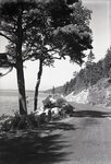 Acadia National Park, Bar Harbor, ME, October 3, 1937 by Bert Call