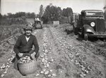 Armour Fertilizer Works, Presque Isle, Maine, September, 1936