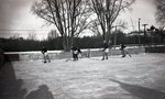 Ice Hockey by Bert Call