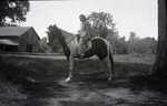 Female on Horse by Bert Call