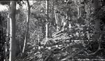 Katahdin and Wissataquoik Regions, Maine by Bert Call
