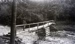Rustic Footbridge by Bert Call
