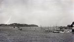 Maine Sailboats in a Harbor by Bert Call