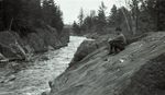 Maine River Scene by Bert Call