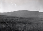 Shin Pond, View of Mountains by Bert Call
