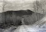 Shin Pond Area, Road to Mountains by Bert Call