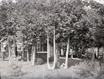 Van Orden Cottage by Bert Call