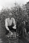 Maine Agriculture, Corn Crop by Bert Call