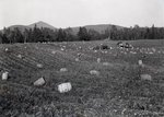 Maine Agriculture, Harvesting a Field by Bert Call