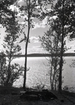 Wassookeag Lake Scene by Bert Call