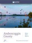 Androscoggin County: Maine Town Reports by Jerry Lund